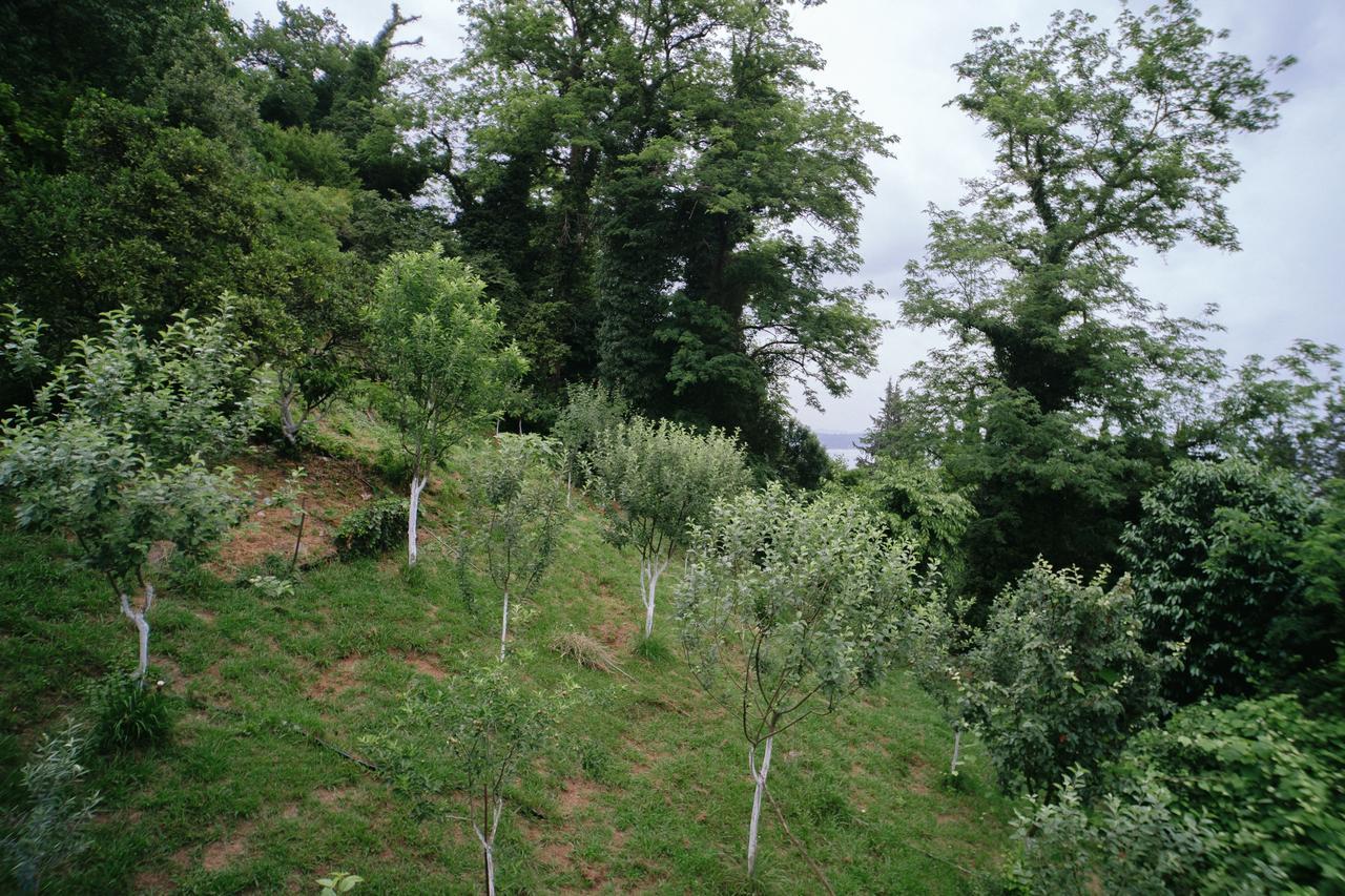 Guest House Bagrat New Athos Exterior foto